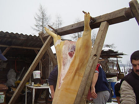 disznóvágás