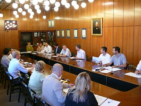 Gazdas&aacute;gi bizotts&aacute;g 2011. j&uacute;nius 28-i &uuml;l&eacute;se