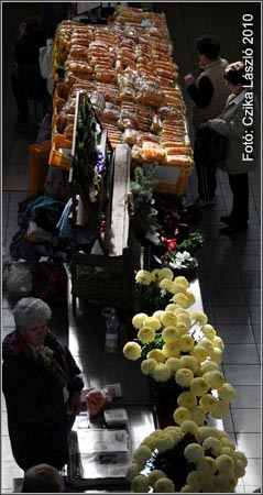 Halottak napi k&eacute;sz&uuml;lőd&eacute;s, Czika
