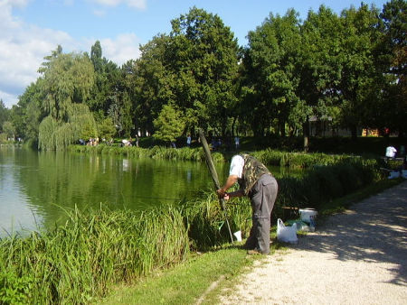 Törpeharcsafogó-verseny Szombathelyen