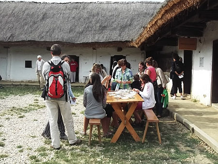 Vasi Skanzen 40 éves