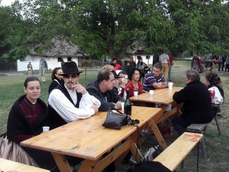 Vasi Skanzen 40 éves