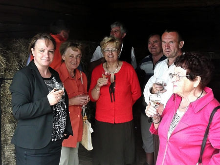Vasi Skanzen 40 éves
