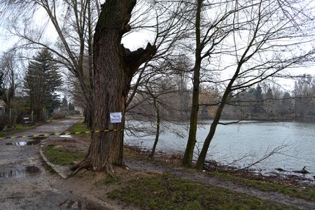 Pontonhíd Szombathelyen
