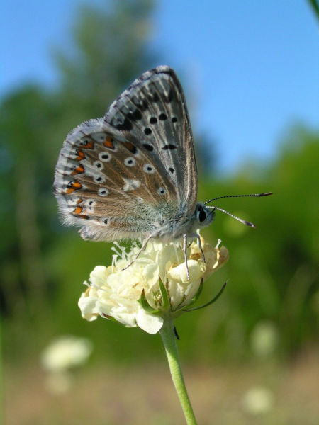 Fotó: MA 22