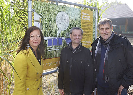 Három hír Bécsből: növényi szennyvíztisztítás, e-töltőállomások, innovatív kórház