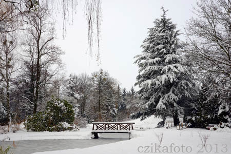 Kámoni Arborétum télen