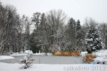 Kámoni Arborétum télen