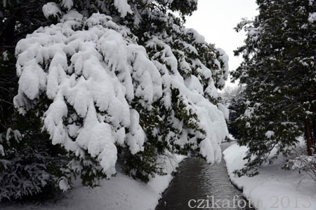Kámoni Arborétum télen