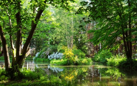 Kámini Arborétum