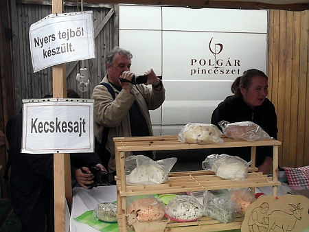 Bacchus kertje Szombathelyen