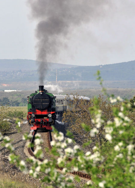 A Déli Vasút 109.109-es gőzmozdonya nosztalgiavonatával halad Veszprém felől Eplény irányába 2013. április 27-én, a Bakonyvasút napján. MTI Fotó: Máthé Zoltán