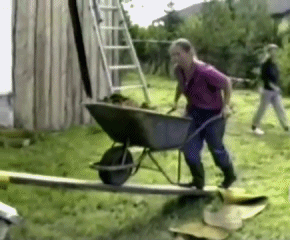 Szokásos hétfő