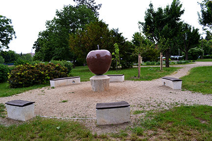 Egyetem melletti park
