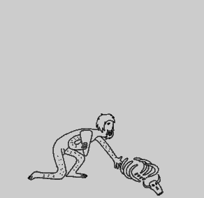 Evolúció
