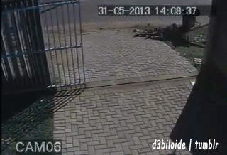 Hétfői talicskatolás