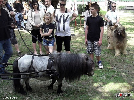 Magyar Lovas Történelmi Nap 