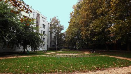 Szombathely, növényvédelem