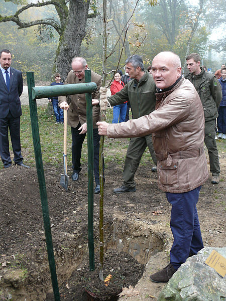 Szombathelyi parkerdő átadása