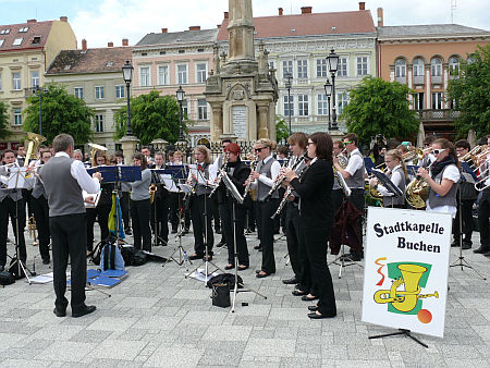 Stadtkaleppe Buchen