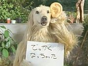 Japán reklám