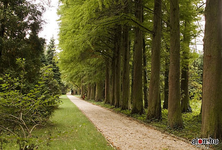 Szombathelyi Arborétum