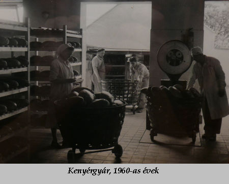 Szombathelyi &uuml;zemek &eacute;s munk&aacute;s h&eacute;tk&ouml;znapok a szocializmusban 