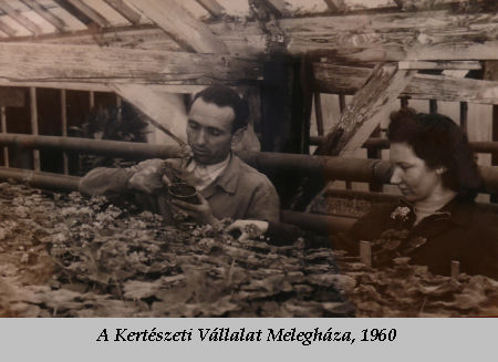 Szombathelyi &uuml;zemek &eacute;s munk&aacute;s h&eacute;tk&ouml;znapok a szocializmusban 