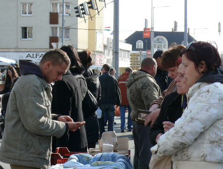 Krakod&oacute;v&aacute;s&aacute;r Szombathelyen