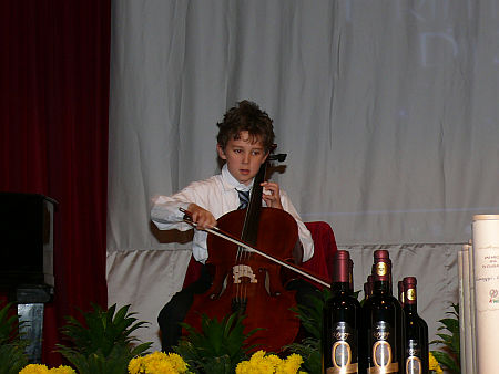 Prima díj, 2010 Vas megye