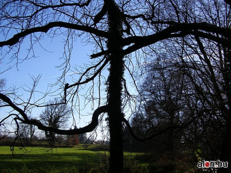 K&ouml;rmend, V&aacute;rkert