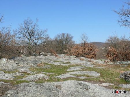 Kőtenger