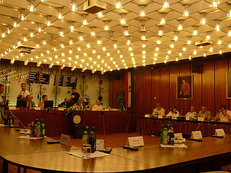 Közgyűlés