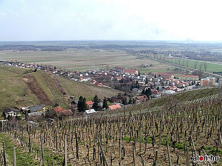 Lendva, szőlőhegyek