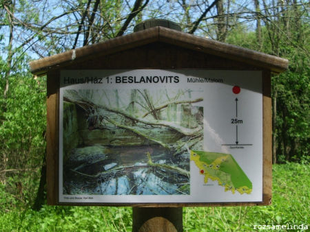 Magyarbüks, az eltűnt falu