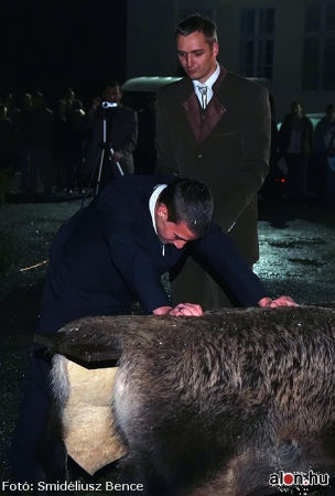 Malacavat&oacute; a Herman iskol&aacute;ban