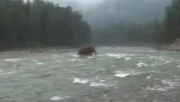 Mamut Szibériában