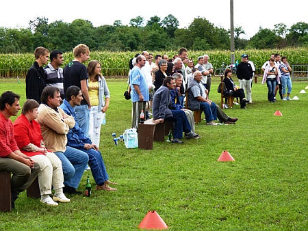 Falunap, Mesteri 2010