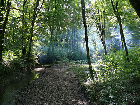 Mecsek, Mézes-réti pihenő
