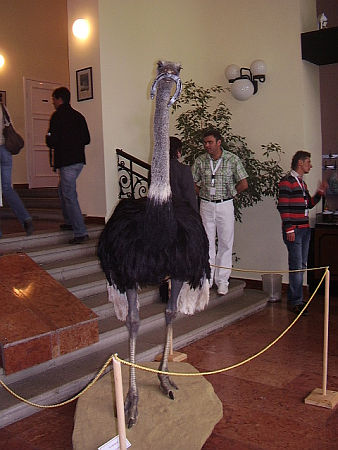 Múzeumok éjszakája Szombathelyen 2010