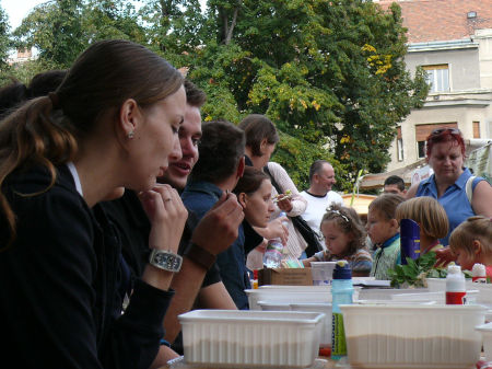 M&uacute;zs&aacute;k kertje, Szombathely