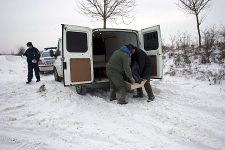 Nagykanizsa, fagyhal&aacute;l