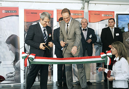 Navracsics Tibor, Nestle