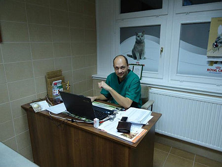 Noé Állatambulancia, Szombathely