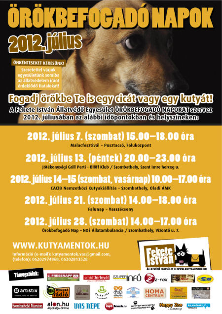 Fekete Istv&aacute;n Egyes&uuml;let, Szombathely Center, Programaj&aacute;nl&oacute;