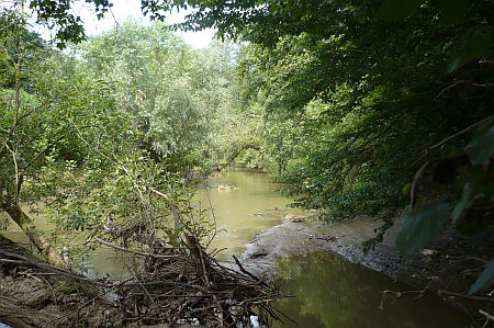 A pPnka