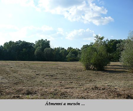 Potyondi &uacute;tmutat&oacute;