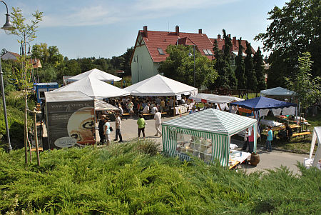 Vasv&aacute;r, R&eacute;tesfesztiv&aacute;l 2010