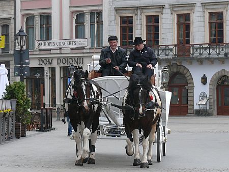 Rynek