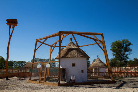 Sarr&oacute;d